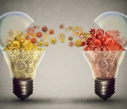 Open Innovation and your Intellectual Property Rights Open Innovation